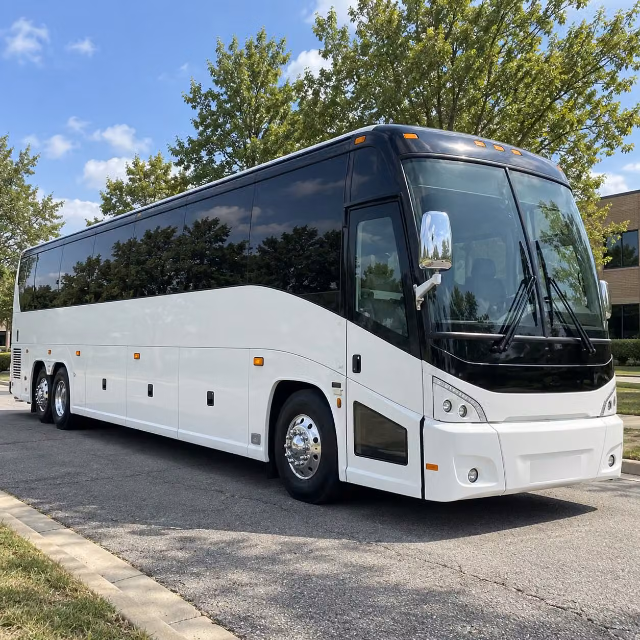 sunrise schools love booking bus rentals to the everglades and south florida nature sites